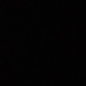 Meet your Posher, Cat